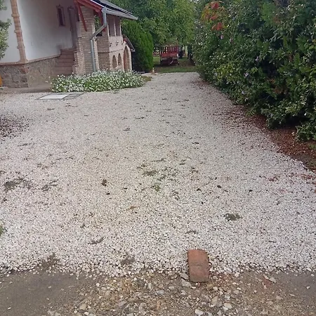Hagyomanyorzo Es Multidezo Porta Báta