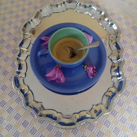 Hagyomanyorzo Es Multidezo Porta Báta