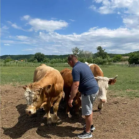 Hagyományőrző és Múltidéző Porta Báta