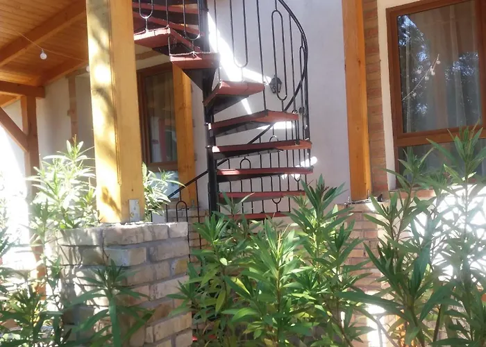 Hagyomanyorzo Es Multidezo Porta Báta